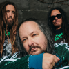 Korn ADIDAS