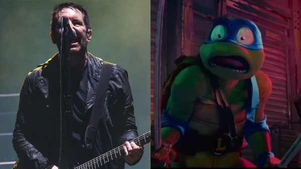 NIN Turtles