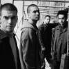 Taproot
